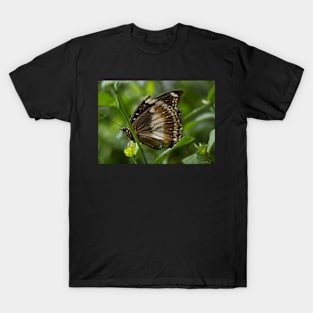 The Majestic Dance of the Brown Butterfly T-Shirt